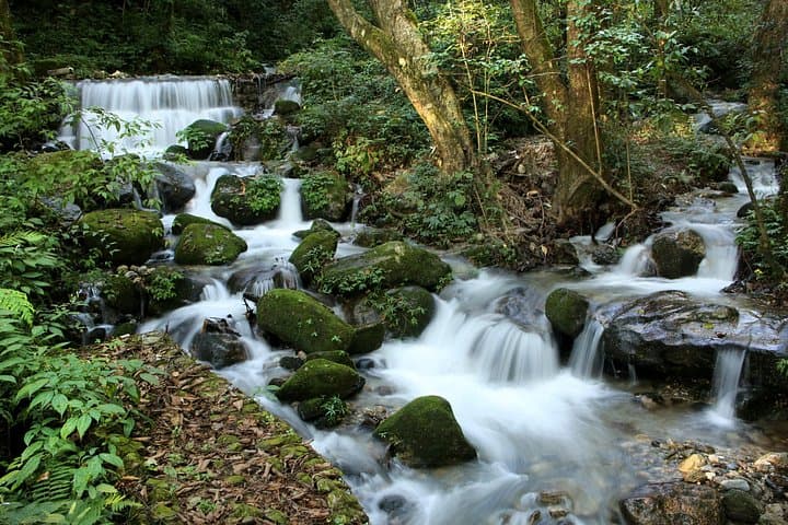 Shivapuri National Park Day Hike from Kathmandu — Nagi Gompa to Baghdwar photo 1