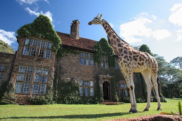 Giraffe Center and Karen Blixen Day Tour — Nairobi Wildlife & Cultural Excursion photo 2
