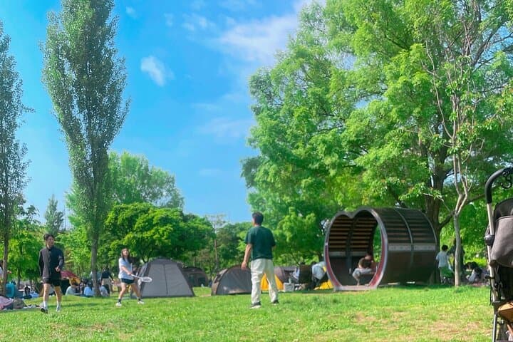 Mangwon Market to Han River Picnic: Local Seoul Food Tour in Seoul