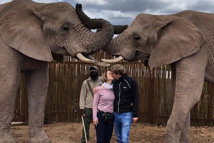 5-Day Private Luxury Garden Route Safari from Cape Town to Port Elizabeth photo 2