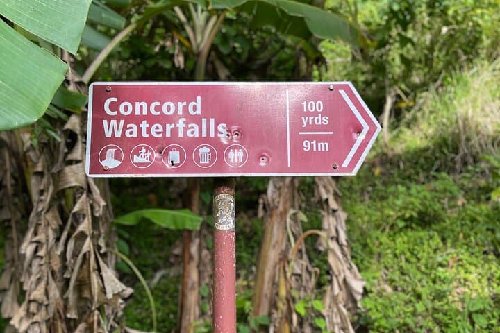 West Coast Grenada Tour: Rum, Waterfalls, Nutmeg & Chocolate photo 3
