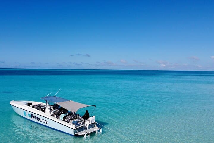 Pink Sands Beach and Swimming Pigs Day Trip from Nassau photo 6