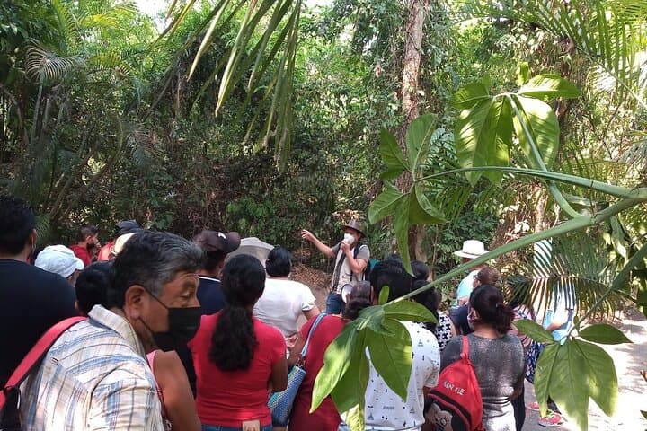 Explore La Venta: Guided Tour of the Olmec Stone Men in Villahermosa photo 3