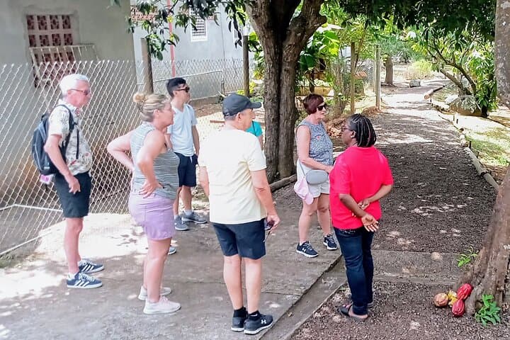 Private Grenada Spice Tour at Laura’s Herb & Spice Garden photo 6