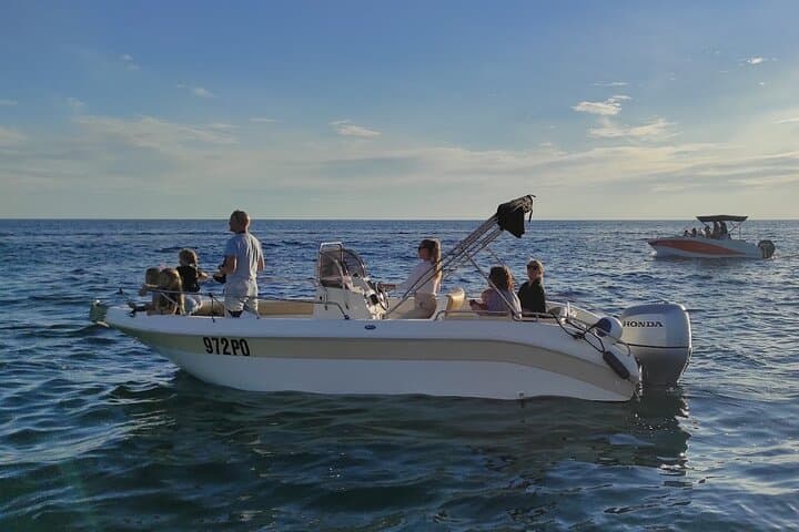 Sunset Dolphin Watching Cruise in the Adriatic Sea (Rovinj) photo 3