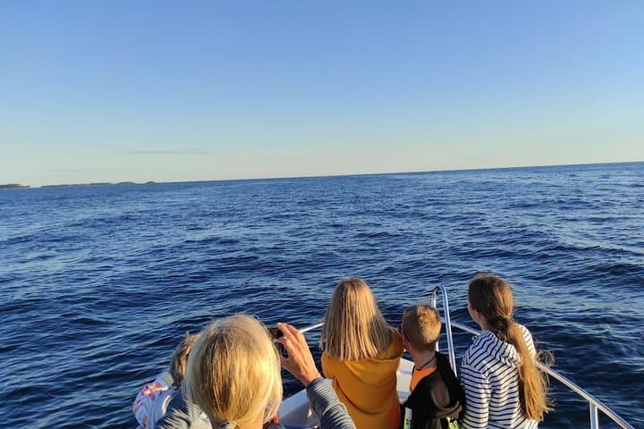Sunset Dolphin Watching Cruise in the Adriatic Sea (Rovinj) photo 4