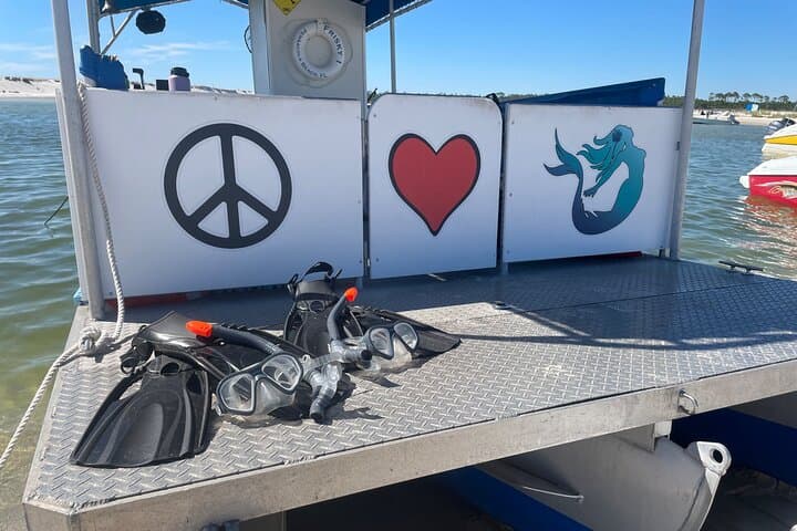 Frisky Mermaid Pensacola Bay Cruise: 2-Hour Snorkel, Dolphin Watching & Local History photo 4