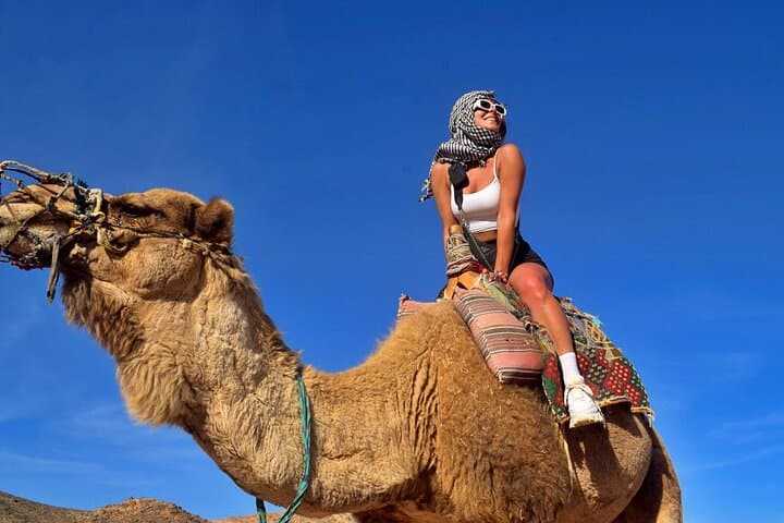 Hurghada Desert Quad & Camel Ride: 40km Bedouin Village Adventure photo 5