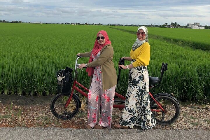 Paddy Field Experience in Tanjong Karang: Hands-On Rice Farming Tour photo 3