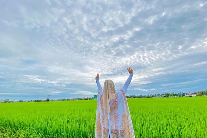 Paddy Field Experience in Tanjong Karang: Hands-On Rice Farming Tour