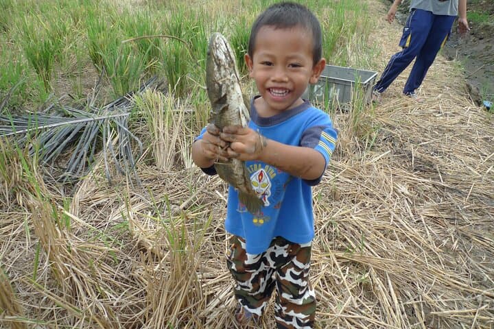 Paddy Field Experience in Tanjong Karang: Hands-On Rice Farming Tour photo 4
