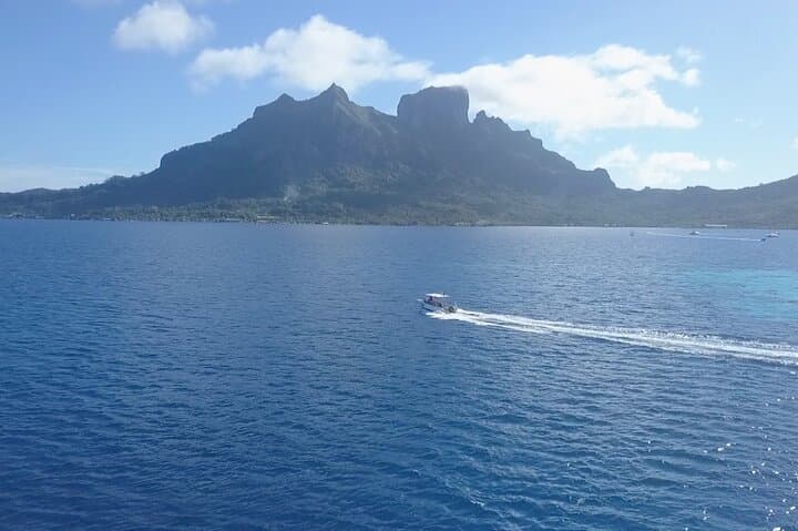 Private Afternoon Dive in Bora Bora — Private Boat & Instructor photo 6