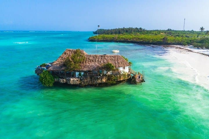 Jozani Forest and The Rock Restaurant: Half-Day Wildlife Walk and Coastal Lunch in Zanzibar photo 4