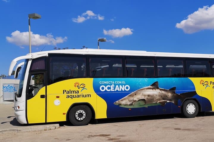 Skip-the-Line Ticket & Transfer to Palma Aquarium — Roundtrip Pickup from East Mallorca photo 1
