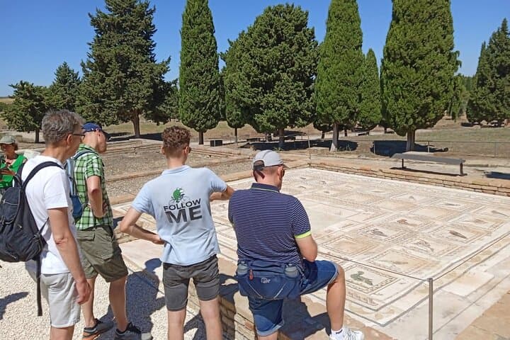 E-bike Tour to Italica: 5-hour Ride from Seville to Roman Ruins photo 3