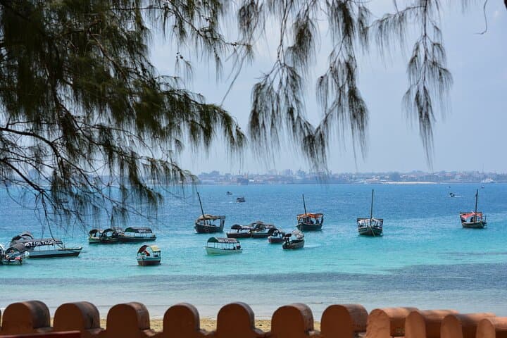 Kizimkazi Dolphin Adventure: Morning Dhow Safari in Zanzibar photo 3