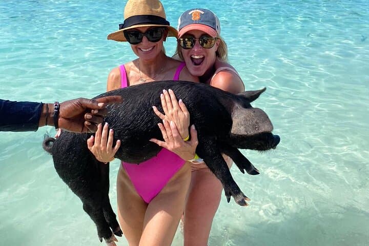 Private Rose Island Snorkel Charter — Turtles, Reefs & Sandy Beaches