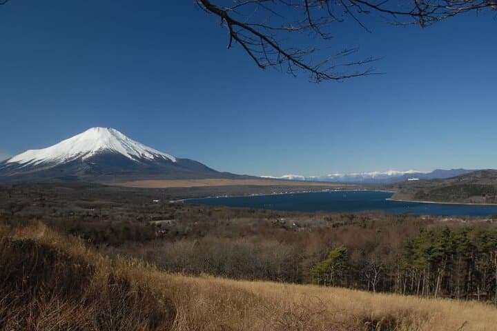 Private Full-Day Mount Fuji Lakes Tour from Tokyo photo 2