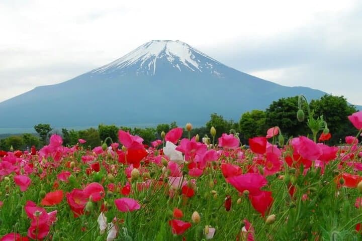 Private Full-Day Mount Fuji Lakes Tour from Tokyo photo 3