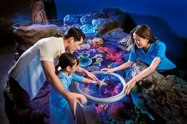 Explore SEA LIFE Bangkok Ocean World & Madame Tussauds: Practical Visitor Guide