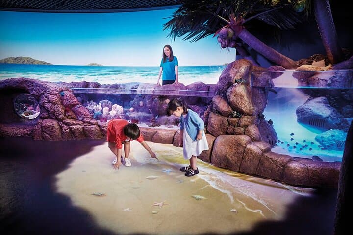 Explore SEA LIFE Bangkok Ocean World & Madame Tussauds: Practical Visitor Guide photo 6