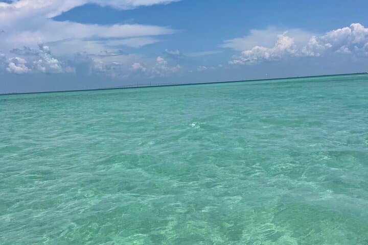 Gulfport Private Snorkel & Shelling Charter to Egmont and Passage Key photo 2