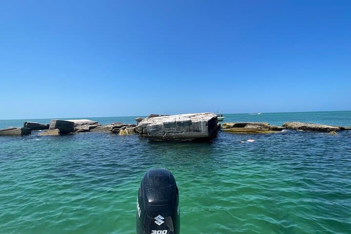 Gulfport Private Snorkel & Shelling Charter to Egmont and Passage Key photo 4