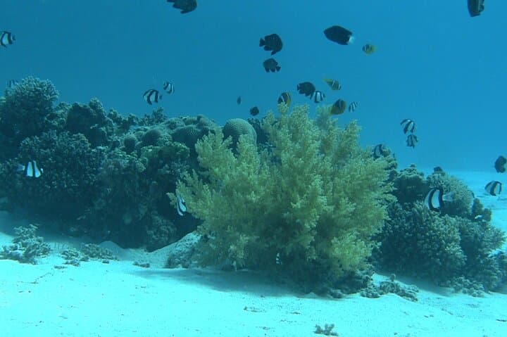Eden Island Luxury Snorkel Trip from Hurghada — Red Sea Day Cruise photo 2
