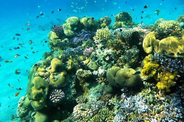 Marsa Mubarak Intro Diving & Boat Trip — Mekkey's Room, Reefs & Wreck photo 3