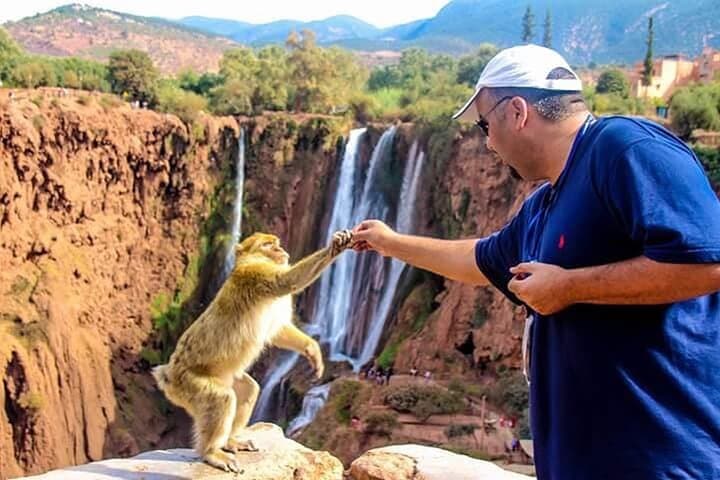 Day Trip to Ouzoud Waterfalls from Marrakech — Hike, Monkeys & Moroccan Lunch