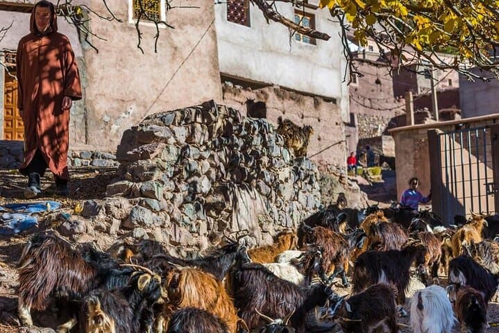 Imlil Full-Day Atlas Hike with Berber Village Visit from Marrakech