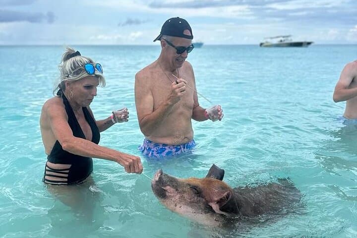 Half-Day Swimming Pigs & Snorkel at Rose Island — Nassau Boat Excursion photo 6