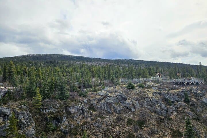 Exploring Skagway’s Triple Combo: Yukon Suspension Bridge, Alaskan Huskies & White Pass Summit photo 2