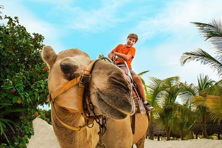 Half-Day Parasailing and Camel Caravan at Maroma Beach — Riviera Maya Combo Adventure photo 2