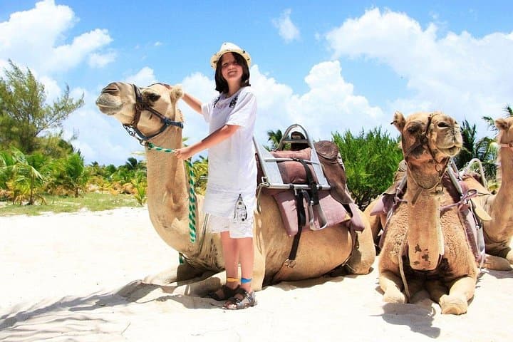 Half-Day Parasailing and Camel Caravan at Maroma Beach — Riviera Maya Combo Adventure photo 3