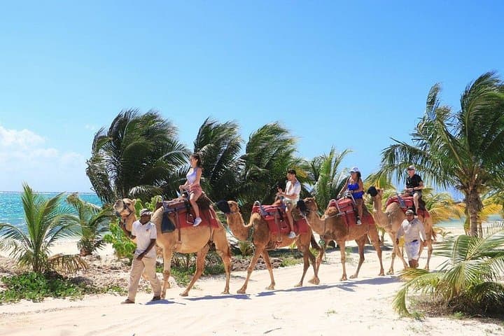 Half-Day Parasailing and Camel Caravan at Maroma Beach — Riviera Maya Combo Adventure photo 4