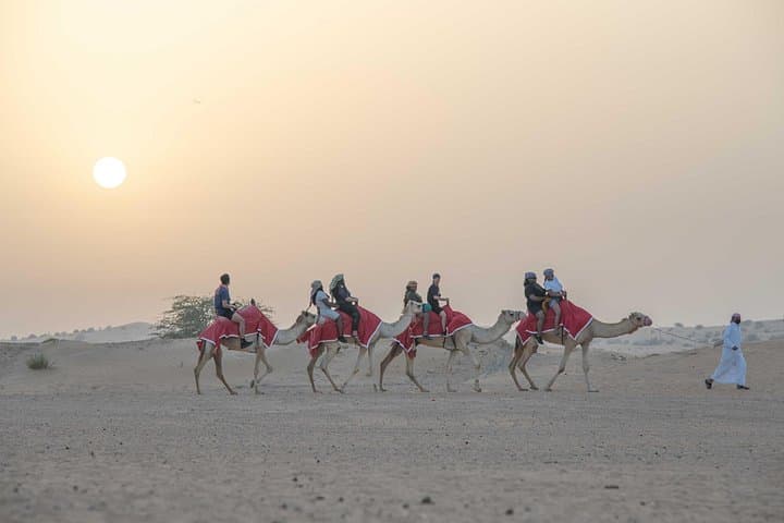 Red Dunes Safari: Quad Biking, Falconry & VIP Desert Camp Near Dubai photo 4