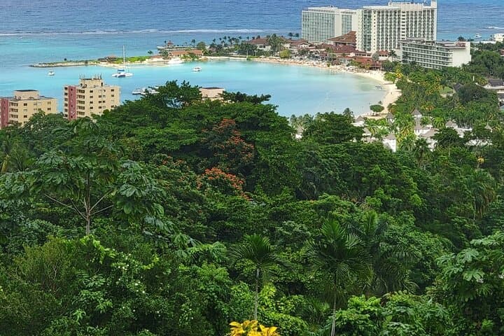 Climb Dunn's River Falls: Private Ocho Rios Tour with Beach Time & Local Shopping photo 5