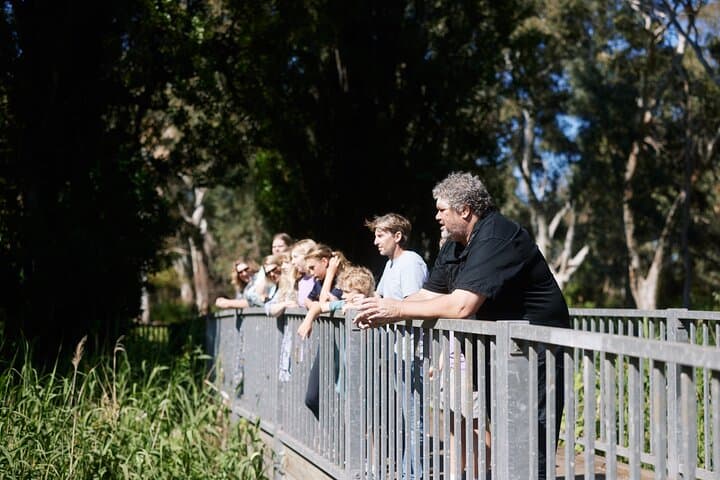 Warriparinga Cultural Walk — Kaurna Guided Tour & Wetlands History near Adelaide photo 4