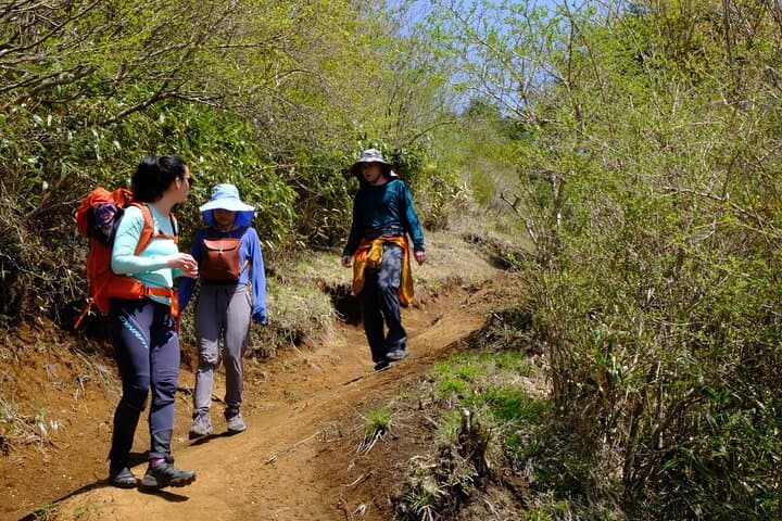 Hakone Caldera Outer Rim Traverse: Ridge Hike, Mt Fuji Views & Onsen photo 4