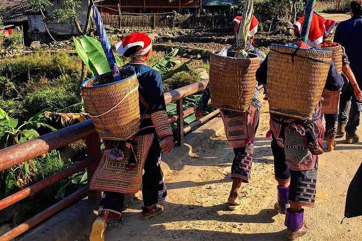 Sapa 3-Day Trek by Bus — Rice Terraces, Ethnic Villages & Silver Falls photo 2
