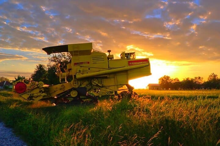 Paddy Field and Fishing Tour in Tanjong Karang — Tractor Rides, Rice Planting & Local Fishing photo 2