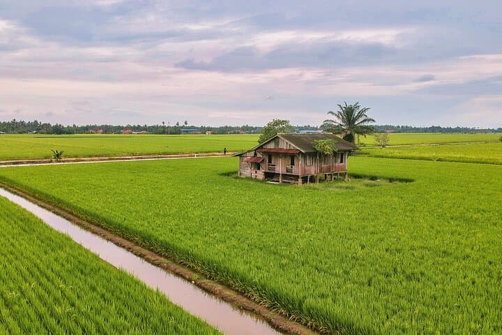 Paddy Field and Fishing Tour in Tanjong Karang — Tractor Rides, Rice Planting & Local Fishing