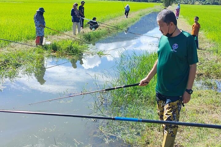 Paddy Field and Fishing Tour in Tanjong Karang — Tractor Rides, Rice Planting & Local Fishing photo 4
