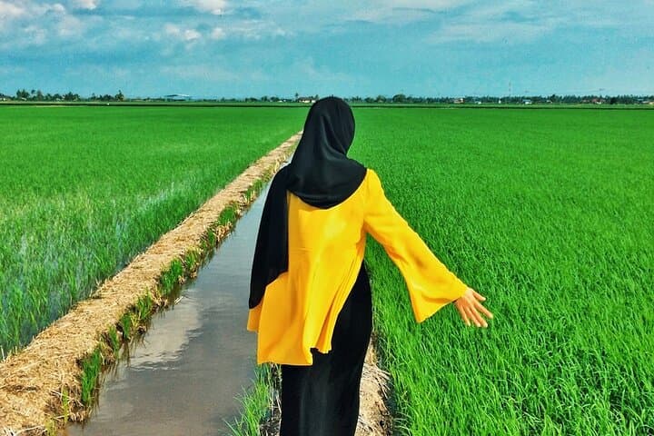 Paddy Field and Fishing Tour in Tanjong Karang — Tractor Rides, Rice Planting & Local Fishing photo 6