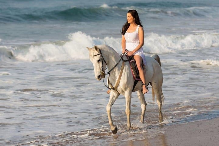 Cabo Horseback Ride to Migrino Beach — Desert-to-Sea Ranch Tour with Tequila Tasting photo 1