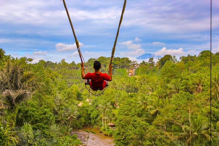 Swing & Swim at D’Tukad Blangsinga — Ubud Waterfall, Goa Gajah & Batuan Temple Day Tour photo 1
