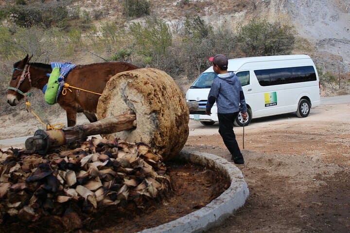 Monte Albán, Teotitlán del Valle & Mezcal: Full-Day Cultural Tour from Oaxaca City photo 5