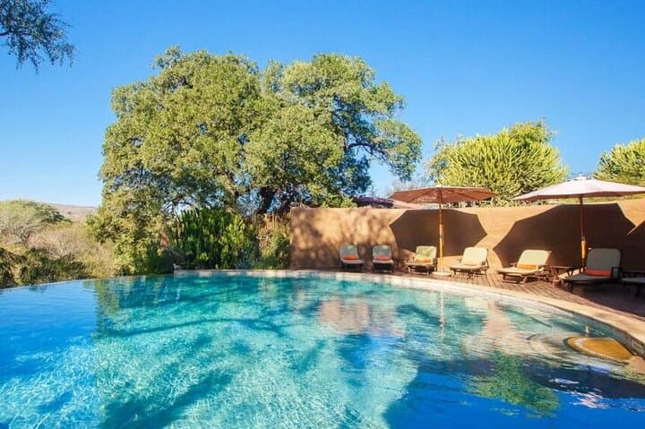 Luxury Safari at Shishangeni Lodge: 3-Day Kruger Big Five Experience photo 5