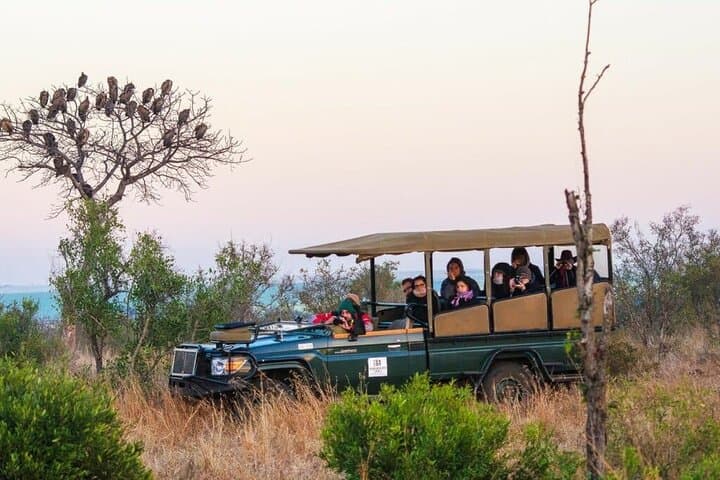 Luxury Safari at Shishangeni Lodge: 3-Day Kruger Big Five Experience photo 6